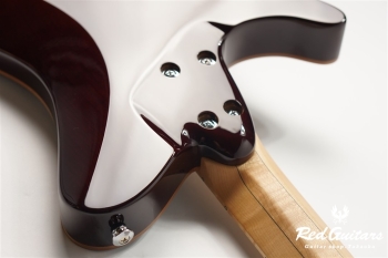 Sälen Deluxe NX 6 Vintage Burst